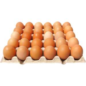 Eggs