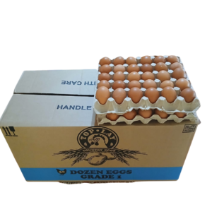 Eggs Bulk Supply